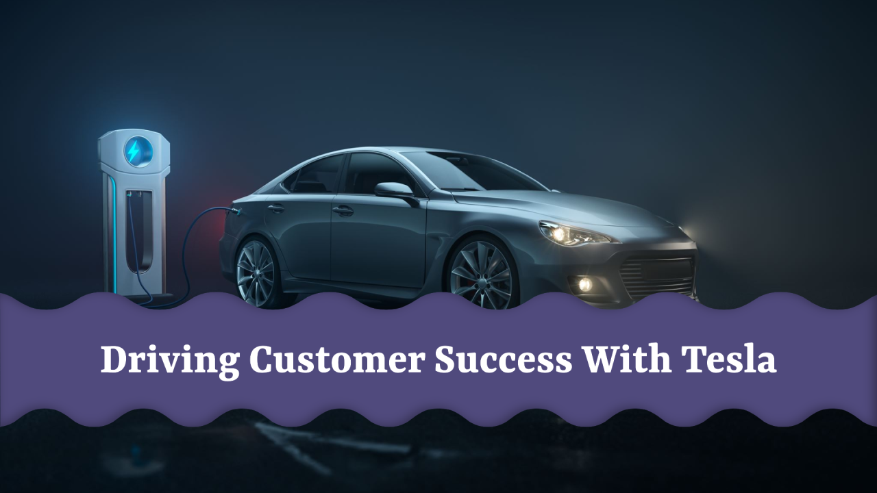 Tesla & Customer Success